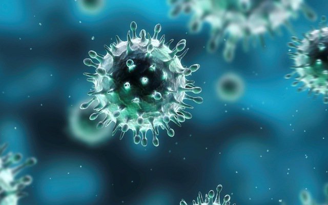 Các loại virus: Cúm, hợp bào hô hấp, á cúm